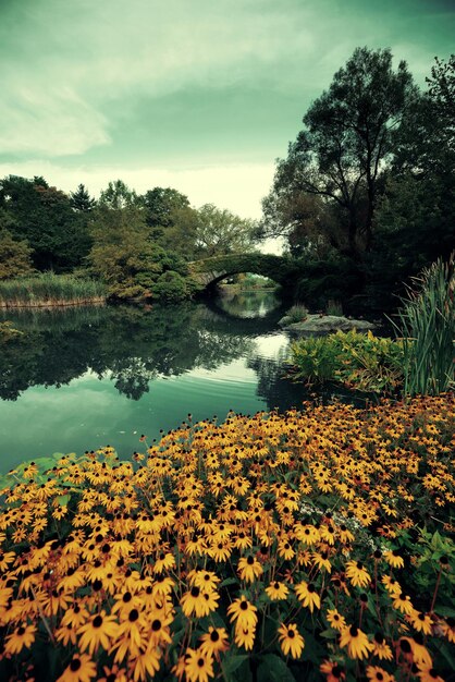 Central Park Primavera con fiori nel centro di Manhattan New York City