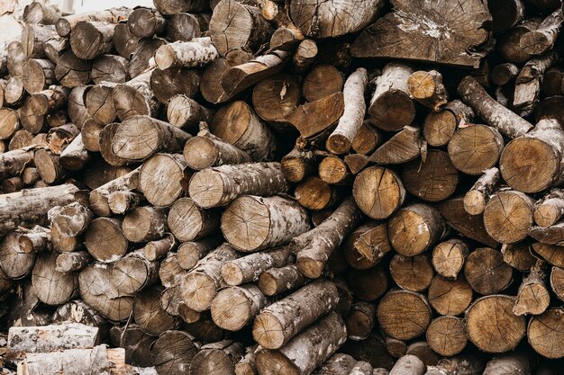 Ceppi di legno per la sistemazione invernale