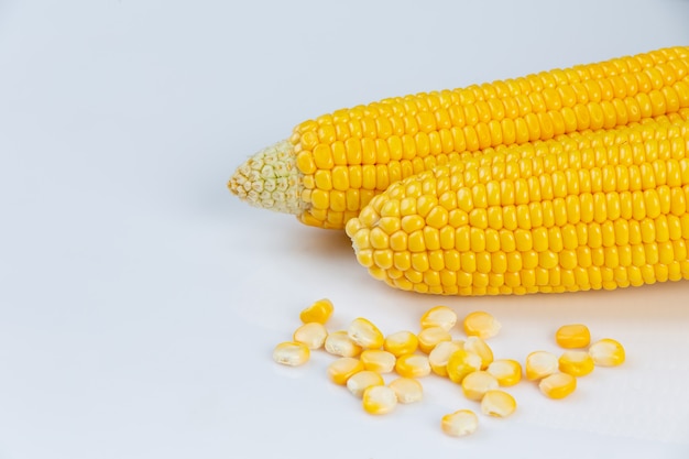 Cereale nel baccello isolato con i noccioli di mais dal campo di grano sulla parete bianca.