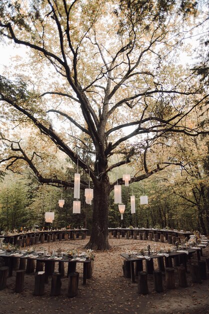 Cerimonia di matrimonio splendidamente progettata nella foresta