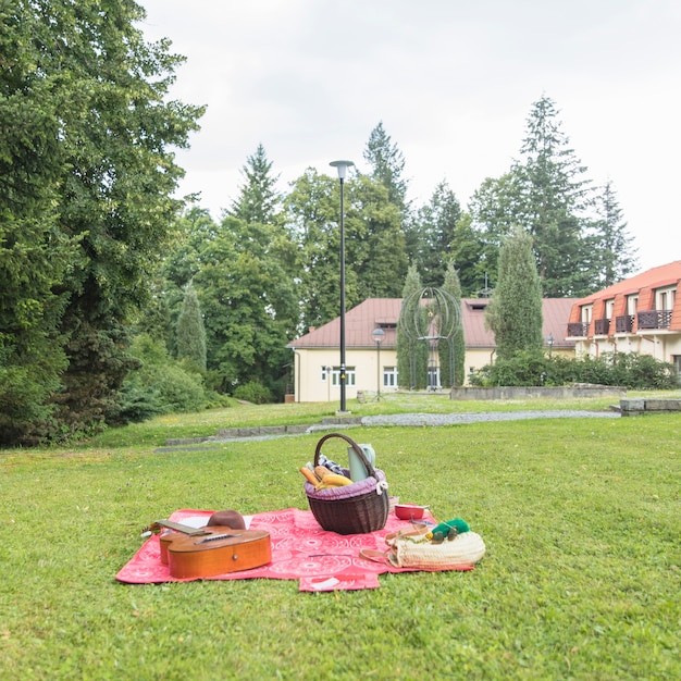 Cestino da picnic; chitarra sulla coperta sopra l&#39;erba verde