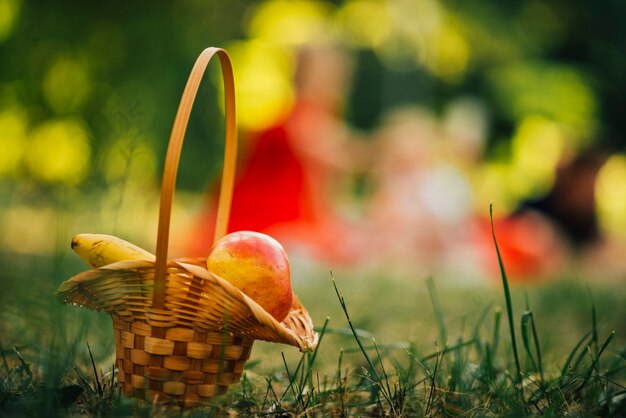 Cestino di picnic con sfondo sfocato