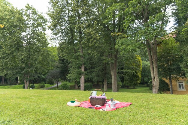 Cestino di picnic sul campo di erba