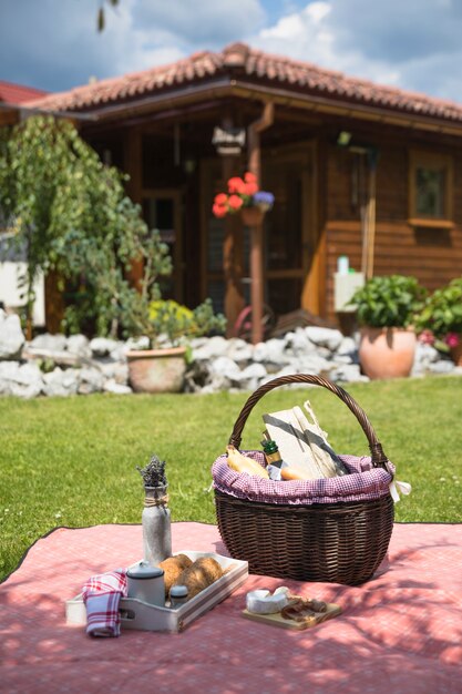 Cestino di picnic sulla coperta a scacchi su erba verde