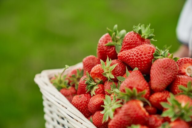 Cestino di vimini con fragola rossa fresca