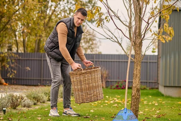 Cesto di foglie. Concentrato giovane adulto caucasico uomo in jeans e gilet alzando cesto guardando attentamente il prato in giardino il giorno d'autunno