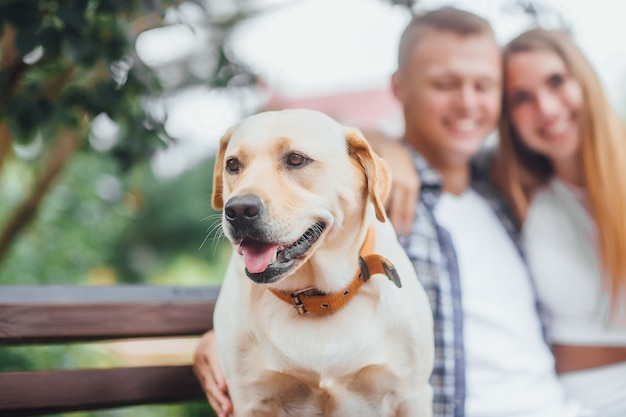 Che bravo ragazzo! bellissimo labrador dorato con guinzaglio seduto con i suoi proprietari al parco