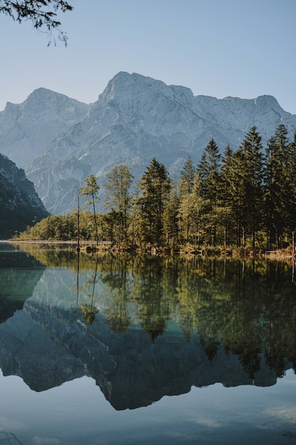 Chiaro lago con alberi che si riflettono nell'acqua sulla riva e sulle montagne che circondano la vista