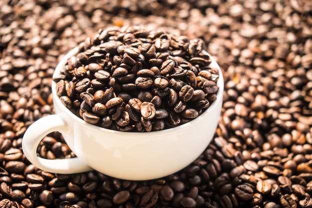 Chicchi di caffè marroni in tazza bianca