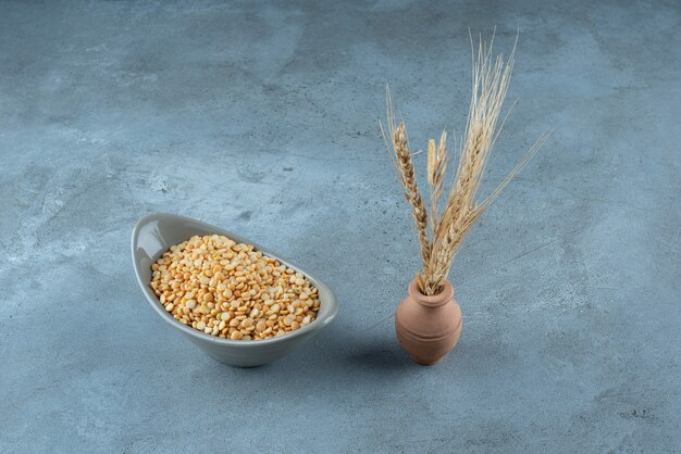 Chicchi di grano e fagioli di mais su sfondo blu. Foto di alta qualità