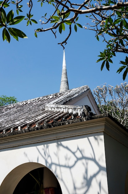 Chiesa alberi foglia rami natura