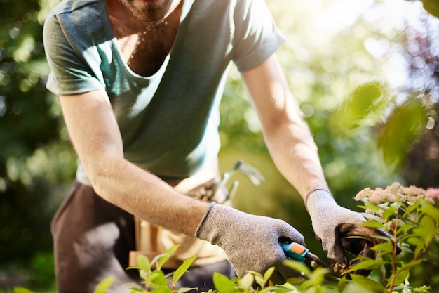 Chiuda in su dell'uomo forte in guanti che tagliano le foglie nel suo giardino. Agricoltore che trascorre la mattina d'estate lavorando nel giardino vicino alla casa di campagna.