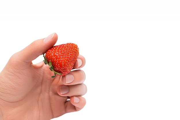 Chiuda in su della mano femminile che giudica la fragola matura isolata su priorità bassa bianca