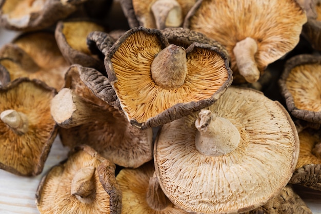 Chiuda su dei funghi di shiitake secchi su fondo di legno
