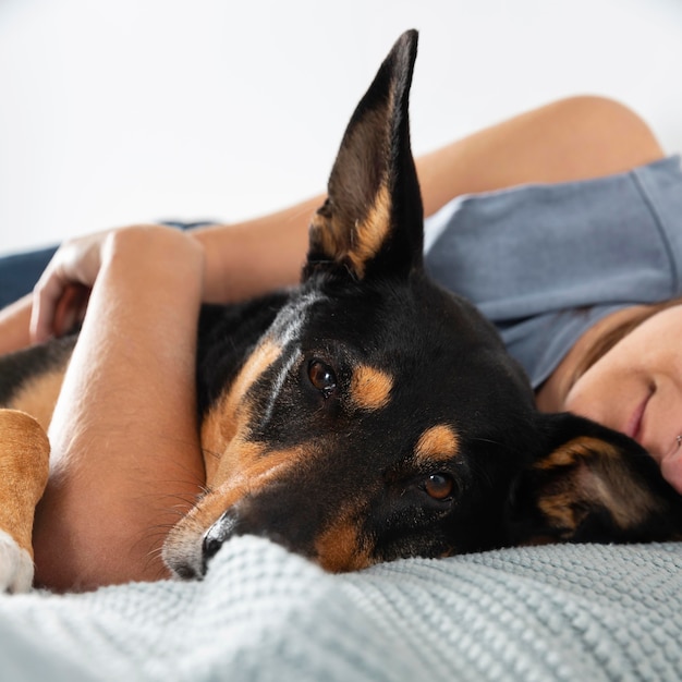 Chiuda sul cane che abbraccia proprietario a letto