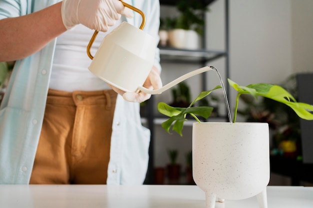 Chiuda sul vaso della pianta di irrigazione della donna