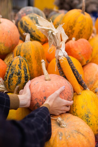 Chiuda sulla donna che sceglie la zucca al negozio della fattoria di autunno all'aperto