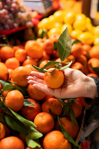 Chiuda sulla mano che tiene il mandarino organico