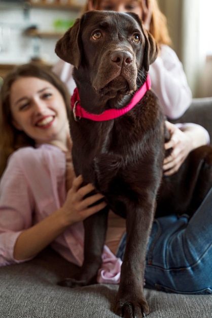 Chiuda sulle donne che accarezzano il cane