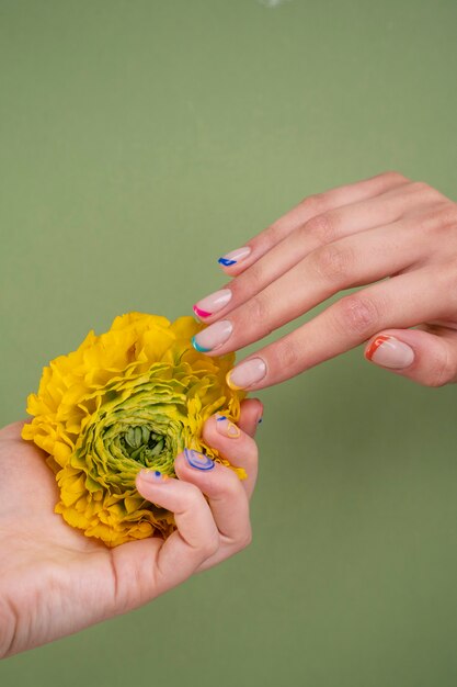 Chiuda sulle mani che tengono bel fiore