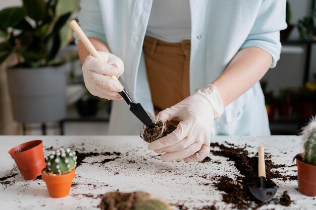 Chiuda sulle piante che crescono della donna