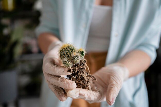 Chiuda sulle piante che crescono della donna