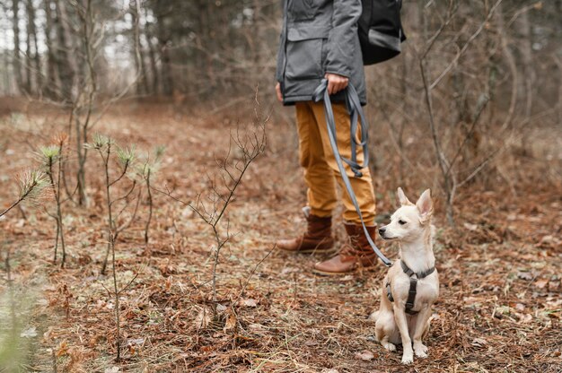 Chiudere la mano che tiene il guinzaglio del cane