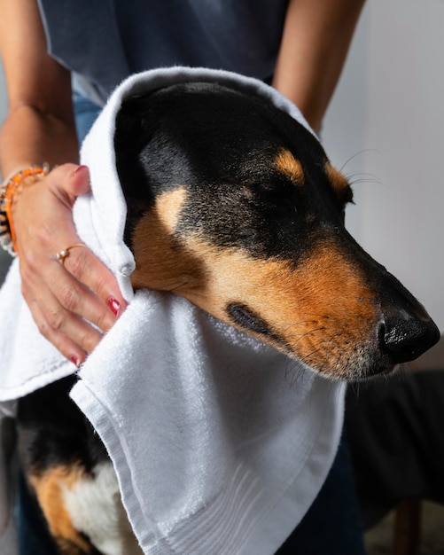 Chiudere le mani asciugando il cane