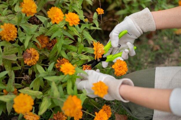 Chiudere le mani che tengono l'attrezzo da giardinaggio