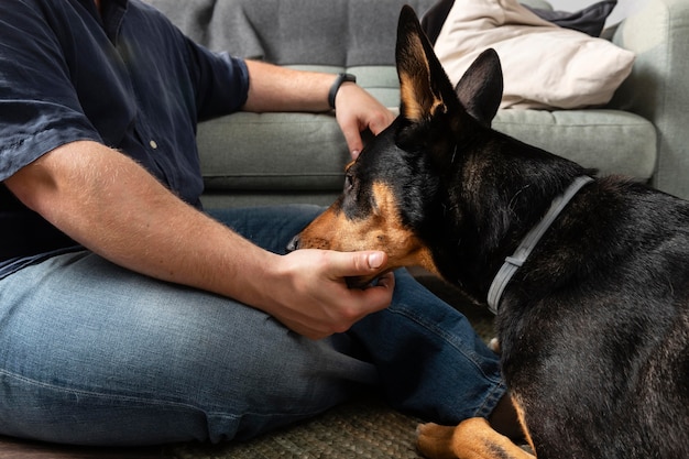 Chiudere le mani petting cane