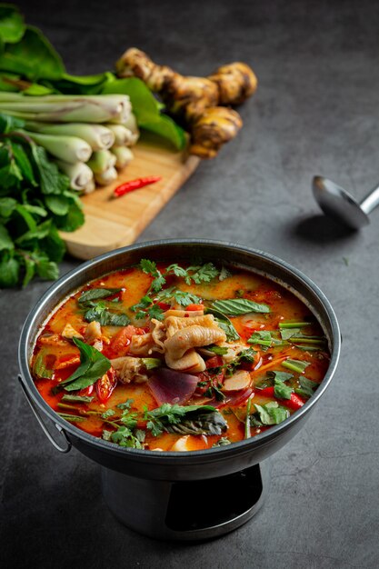 Cibo thailandese. zuppa di tendini di pollo piccante.