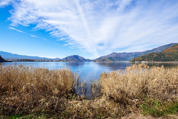 cielo blu ed erba nel lago Kawaguchiko, in Giappone