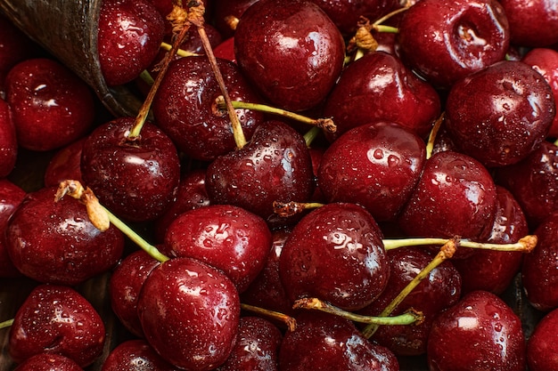 Ciliegia in gocce d'acqua di close-up. Disposizione delle bacche per lo sfondo. Raccolto fresco di ciliegie succose, torta o ingrediente di succo