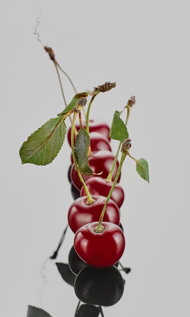 Ciliegia isolata su fondo bianco, fuoco selettivo del primo piano. Frutta della fattoria dal mercato