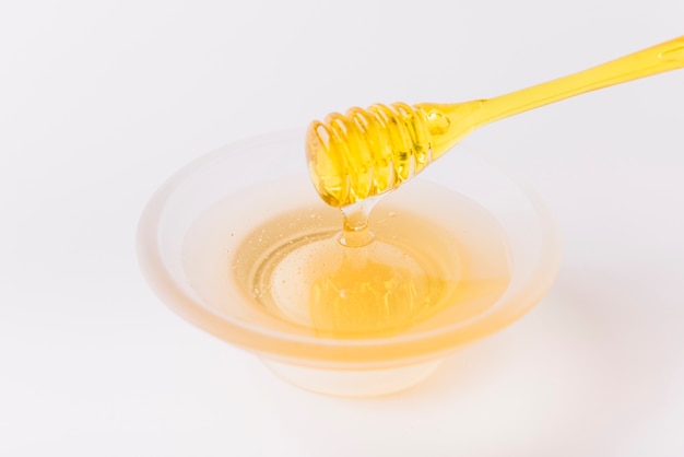 Ciotola di miele e merlo acquaiolo su priorità bassa bianca
