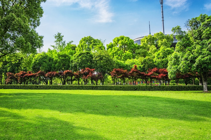 Foto gratuito city park