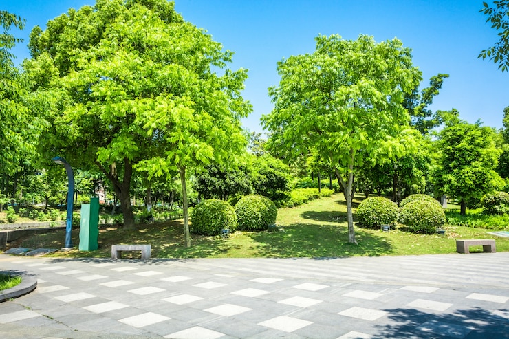 Foto gratuito city park