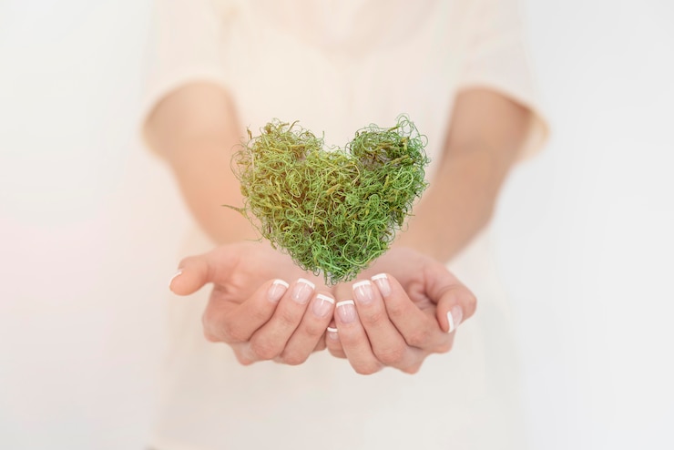 Foto gratuito close up cuore di greenary