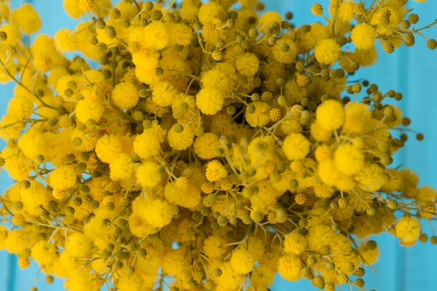 Close-up di fiori gialli