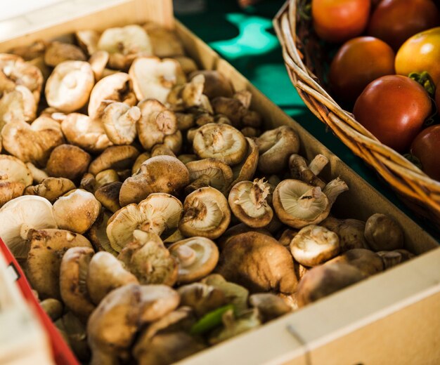 Close-up di funghi biologici al mercato