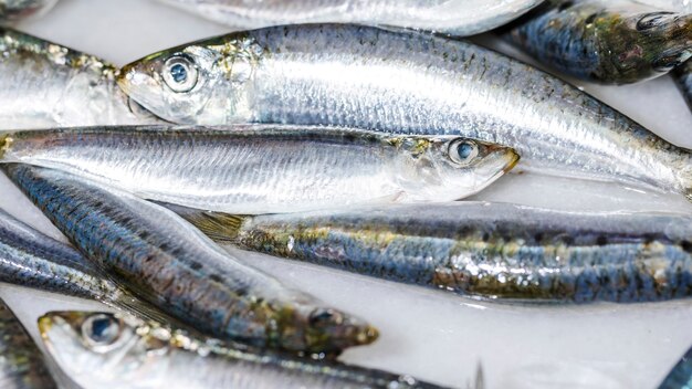 Close-up di pesce fresco bianco