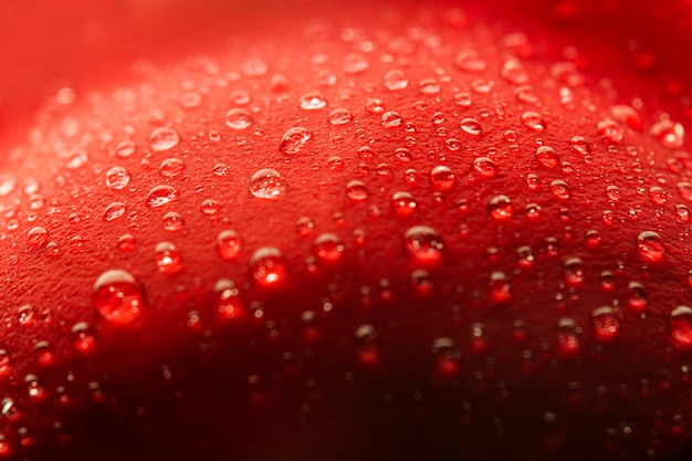 Close-up di petalo di fiore rosso con gocce d'acqua