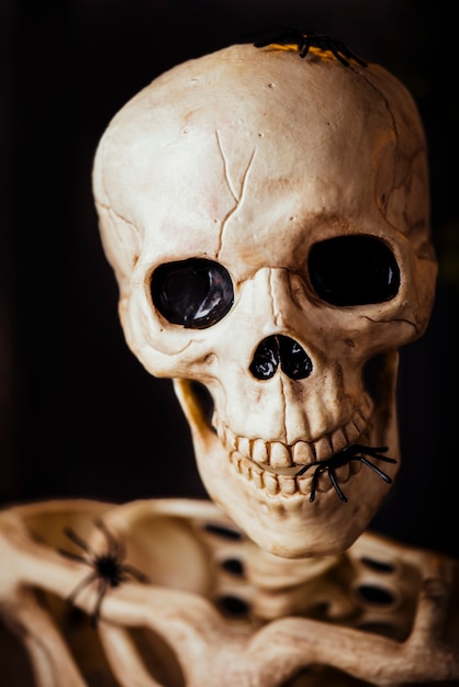 Close-up di scheletro umano in ragni