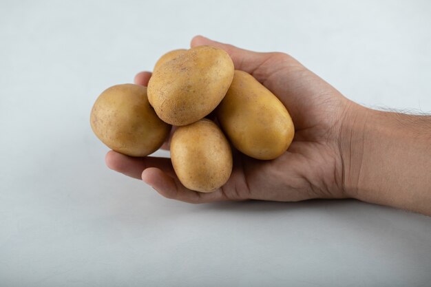 Close up foto della mano maschio che tiene mucchio di patate su sfondo bianco.