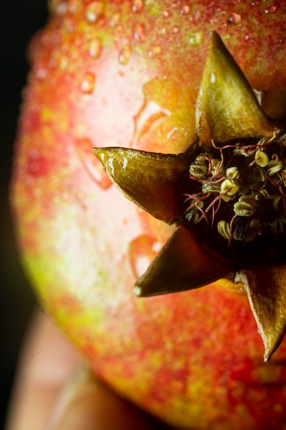 Close-up pomergranate frutta con gocce d'acqua