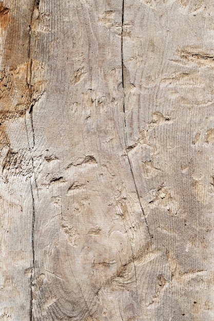 Close up texture di sfondo di legno