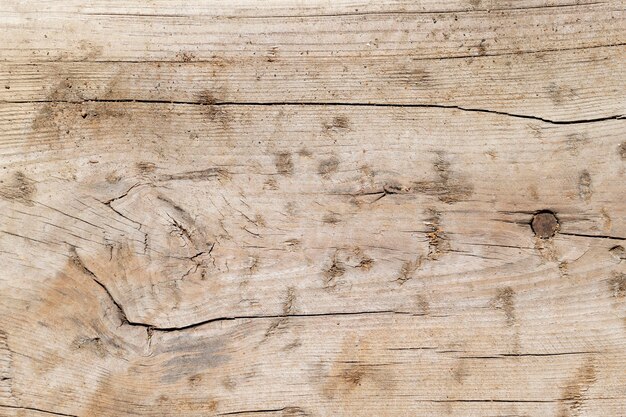Close up texture di sfondo di legno