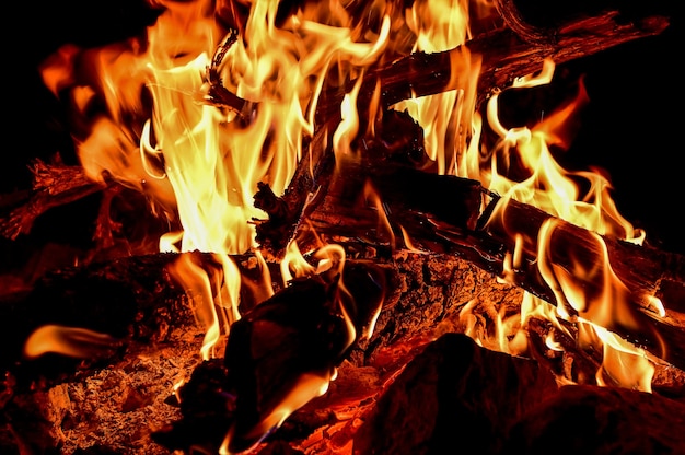 Closeup colpo di legna che brucia in fiamme luminose