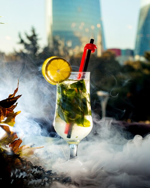 Cocktail rinfrescante con foglie di menta e fettine di limone