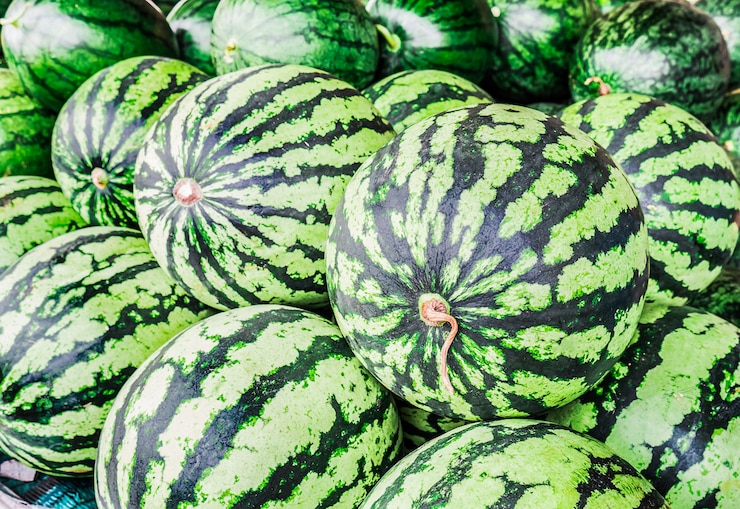 Foto gratuito cocomeri freschi